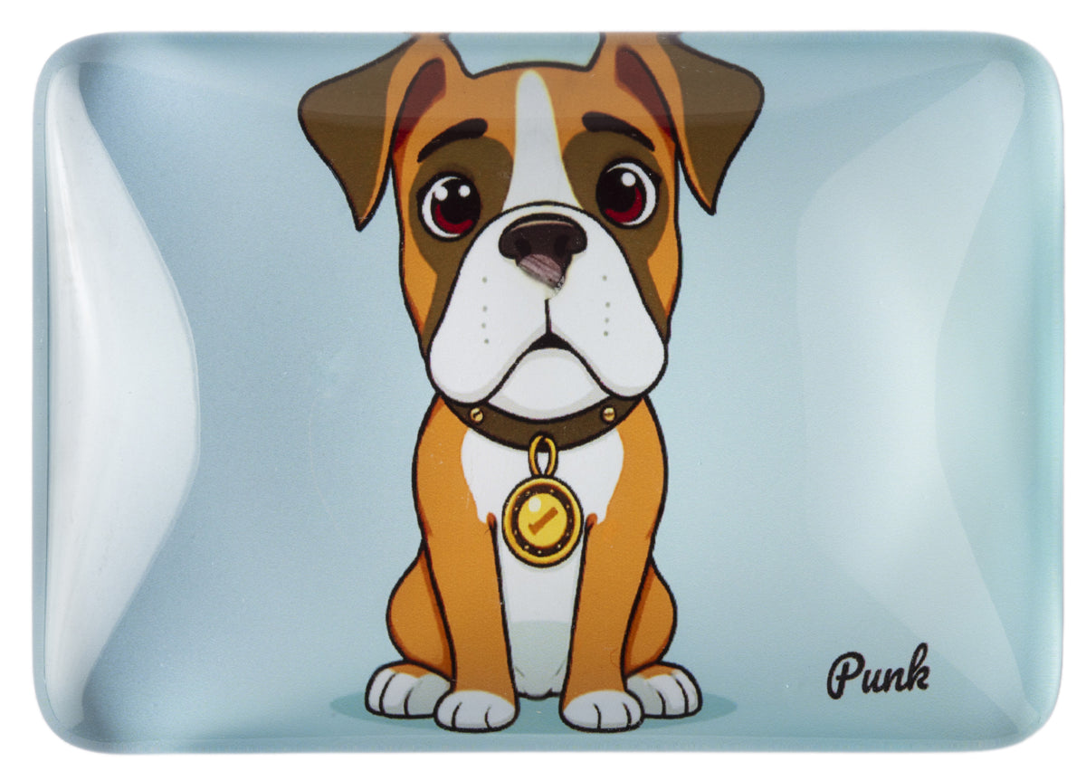 Crystal Glass Boxer Fridge Magnet Design | Ideal Gift |