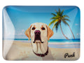 Crystal Glass Labrador Retriever Fridge Magnet