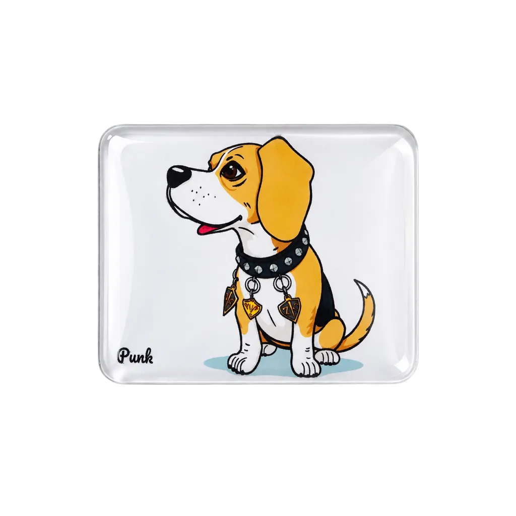 Beagle magnet flatlay