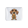 Miniature Dachshund magnet flatlay