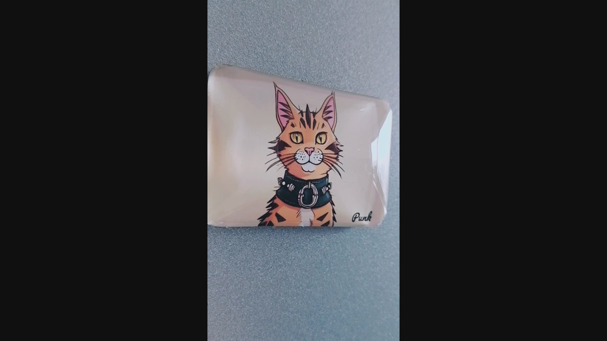 tabby cat fridge magnet