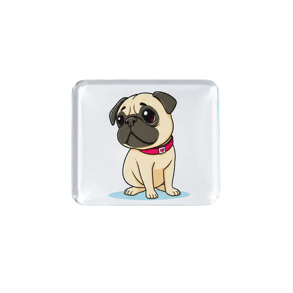 Pug magnet flatlay