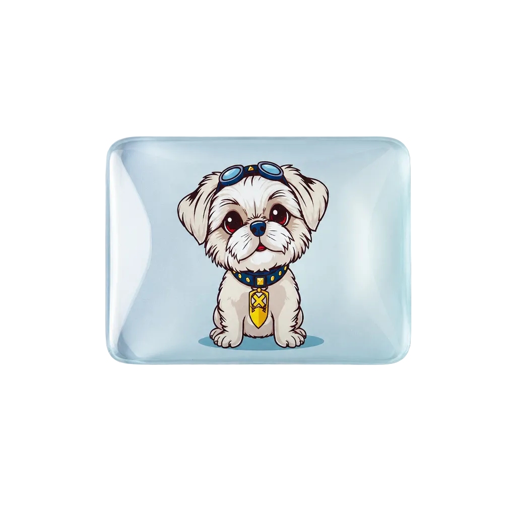 Shih Tzu magnet flatlay